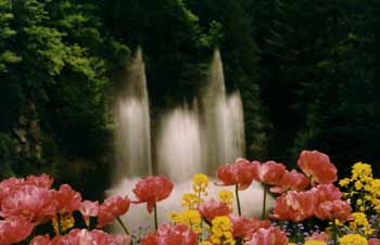 The Fountain at Butchart Gardens